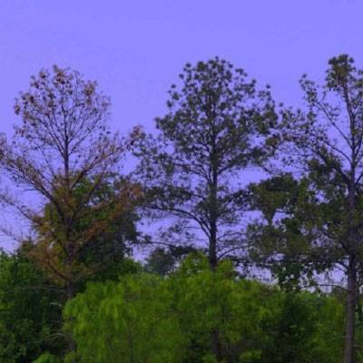 破天战神3手游最新版下载